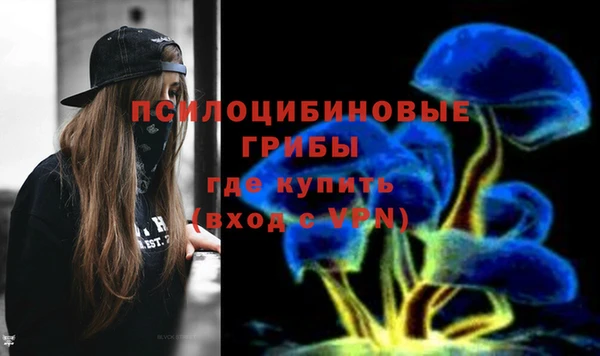 амф Аркадак