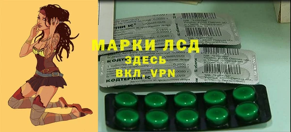 стаф Нефтекумск