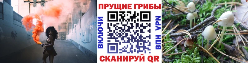 Псилоцибиновые грибы Cubensis  дарк нет как зайти  Мосальск 